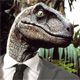 Avatar de Usuario