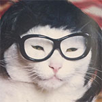 Avatar de Usuario