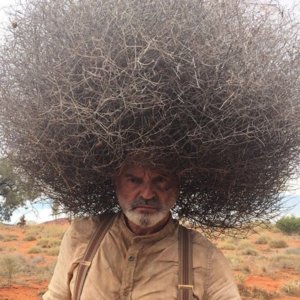 Avatar de Usuario